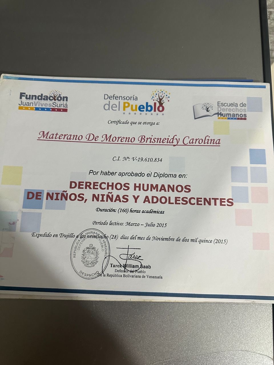 Anexe soportes de sintesis curricular
