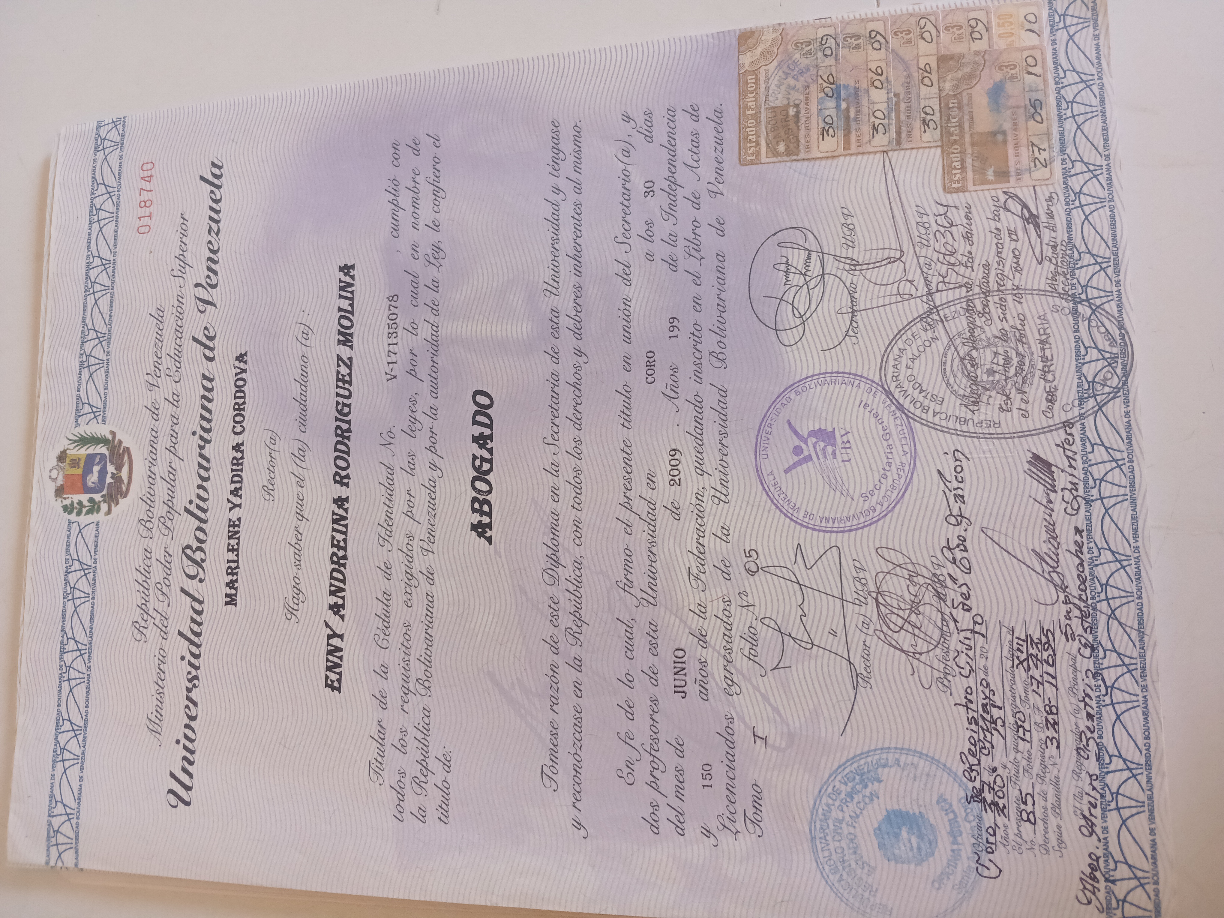 Anexe soportes de sintesis curricular