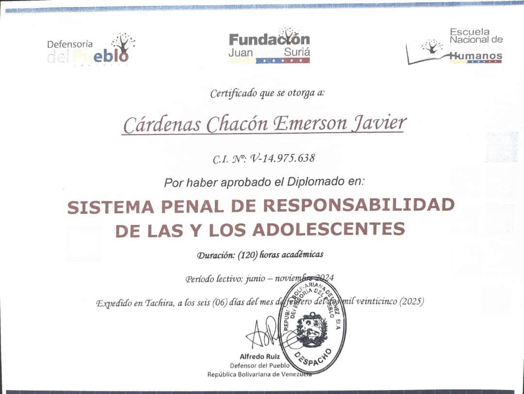 Anexe soportes de sintesis curricular