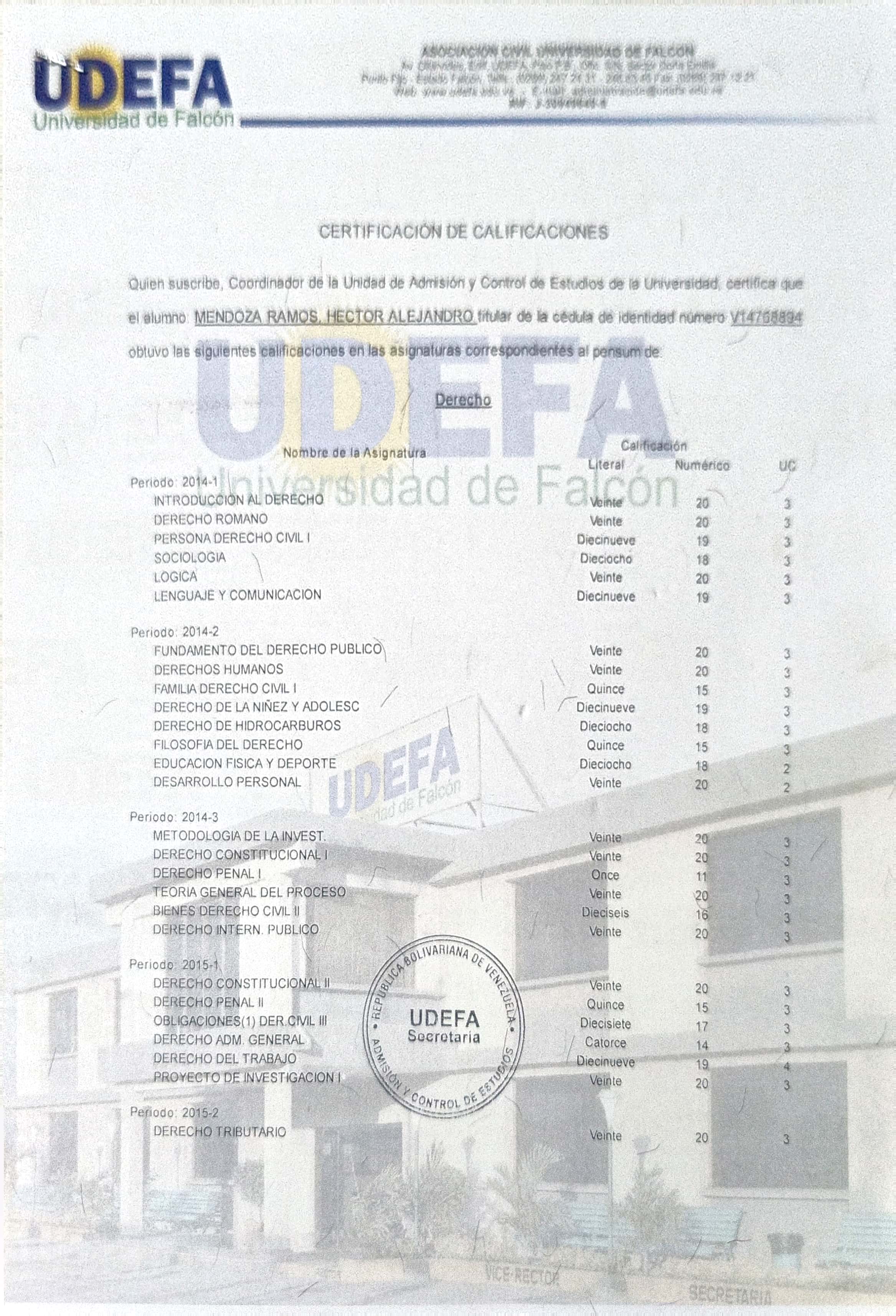 Anexe soportes de sintesis curricular