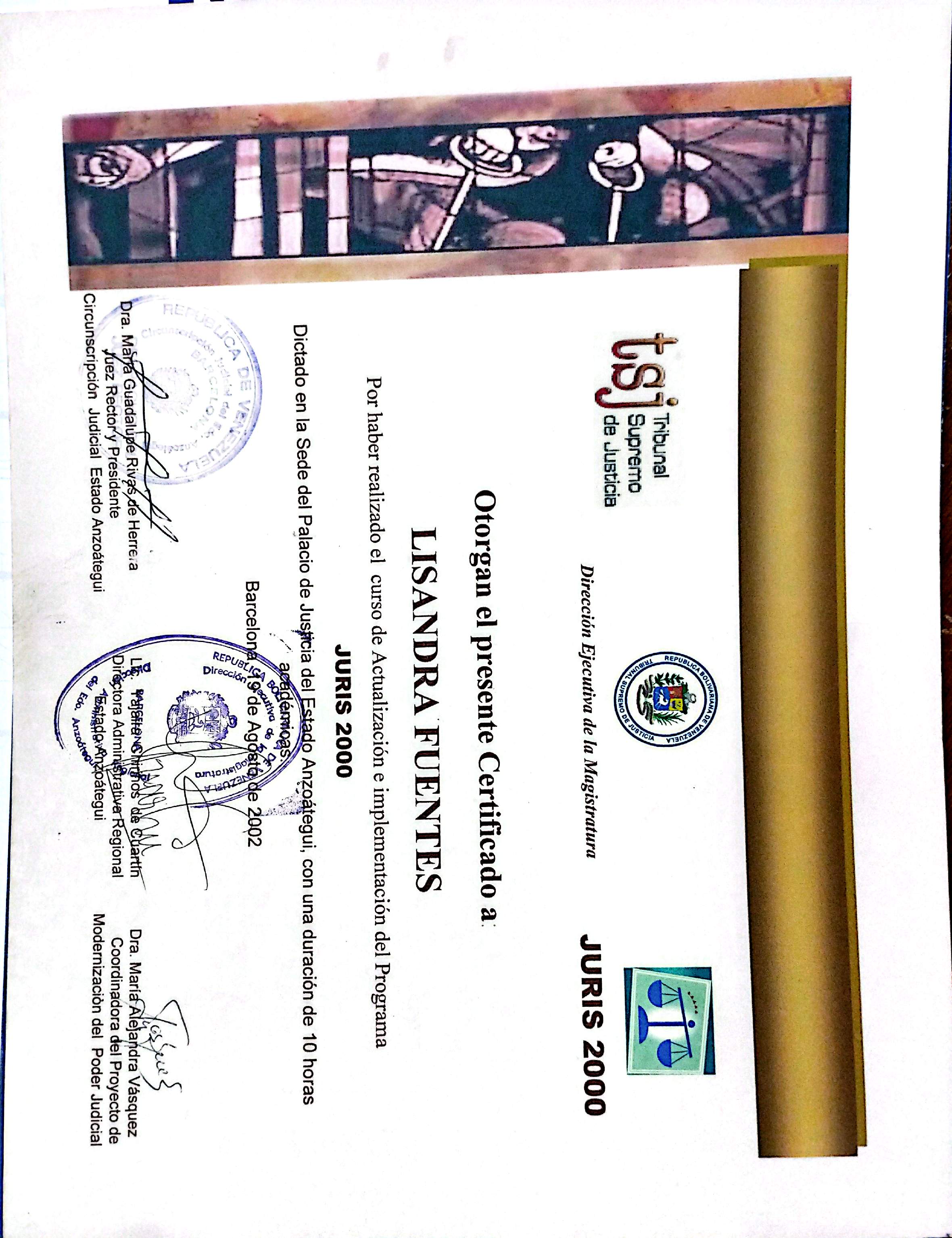 Anexe soportes de sintesis curricular