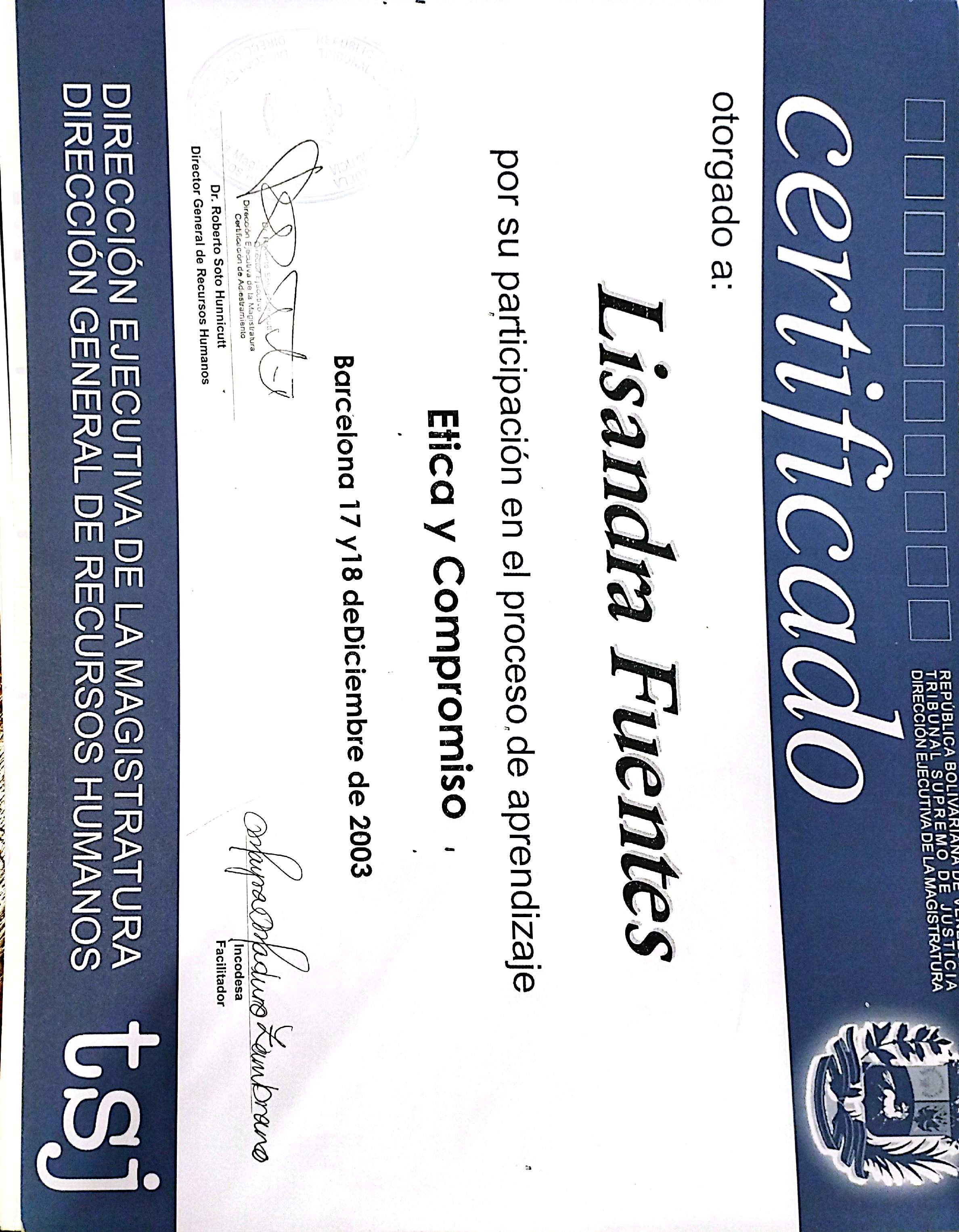 Anexe soportes de sintesis curricular