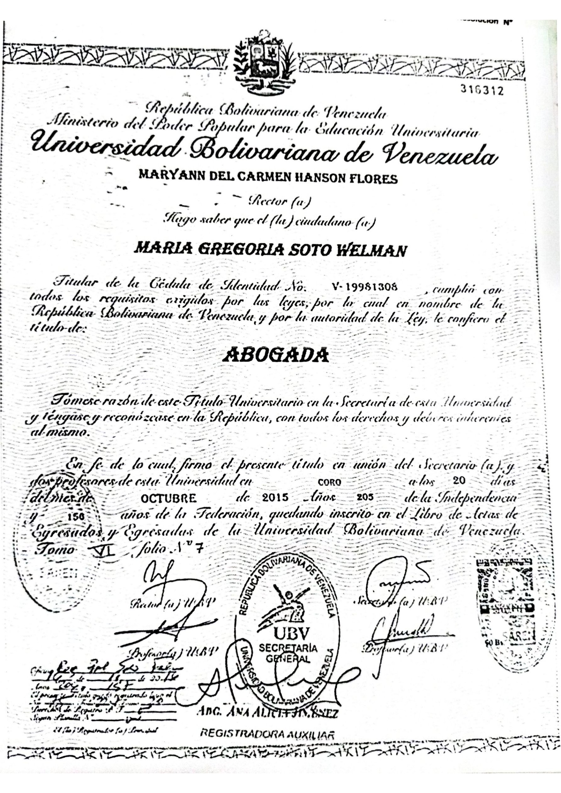 Anexe soportes de sintesis curricular