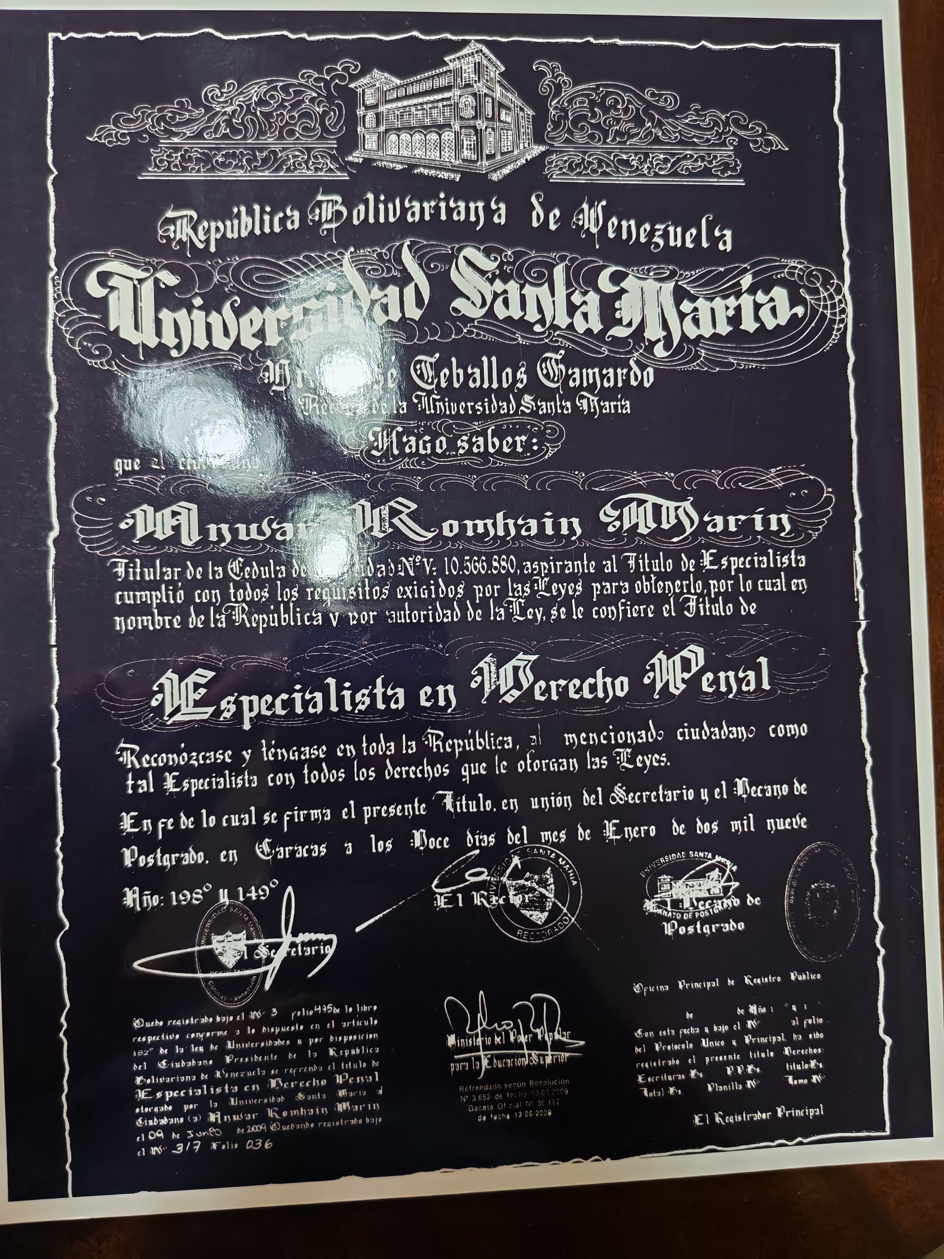 Anexe soportes de sintesis curricular