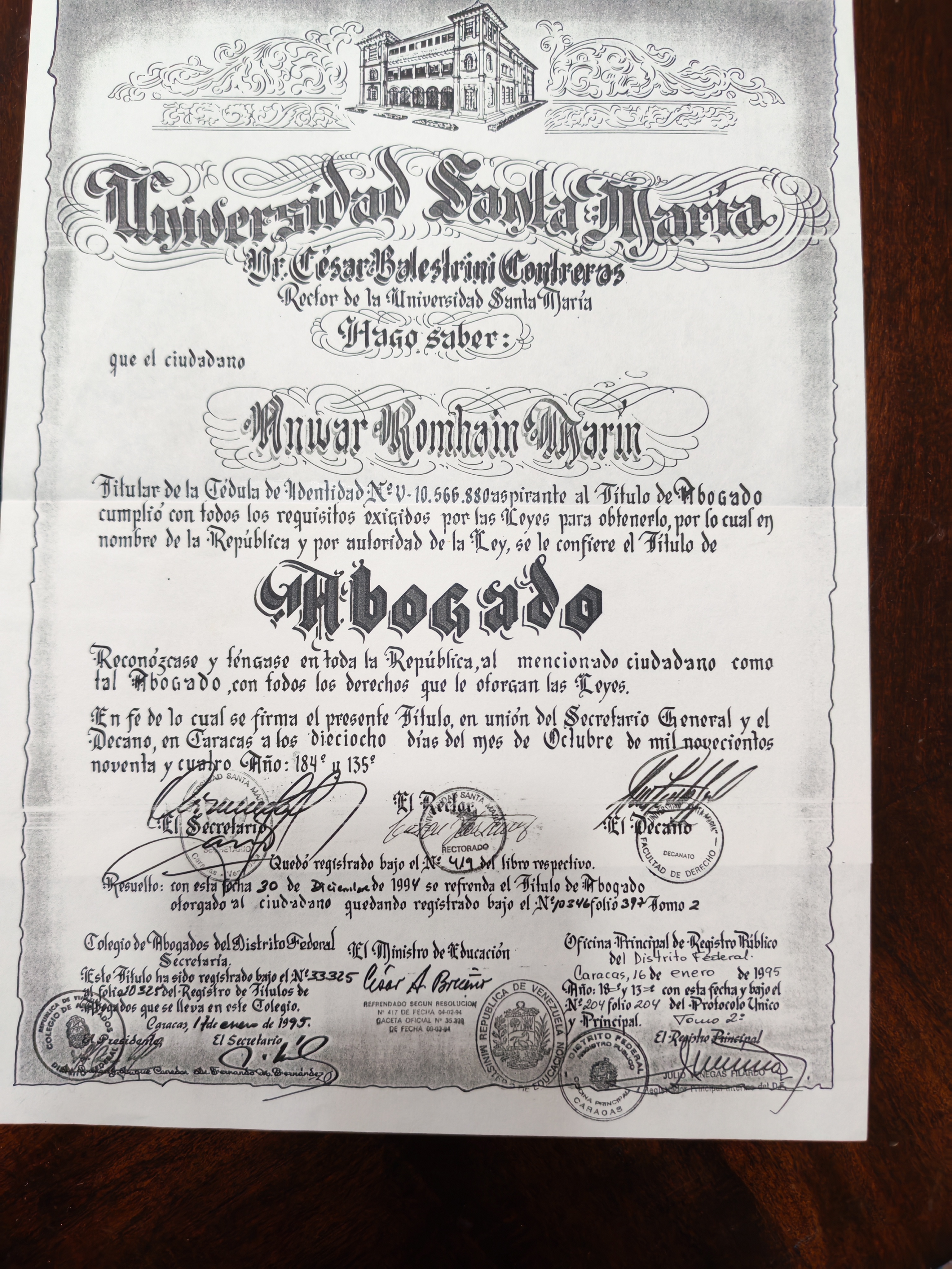Anexe soportes de sintesis curricular