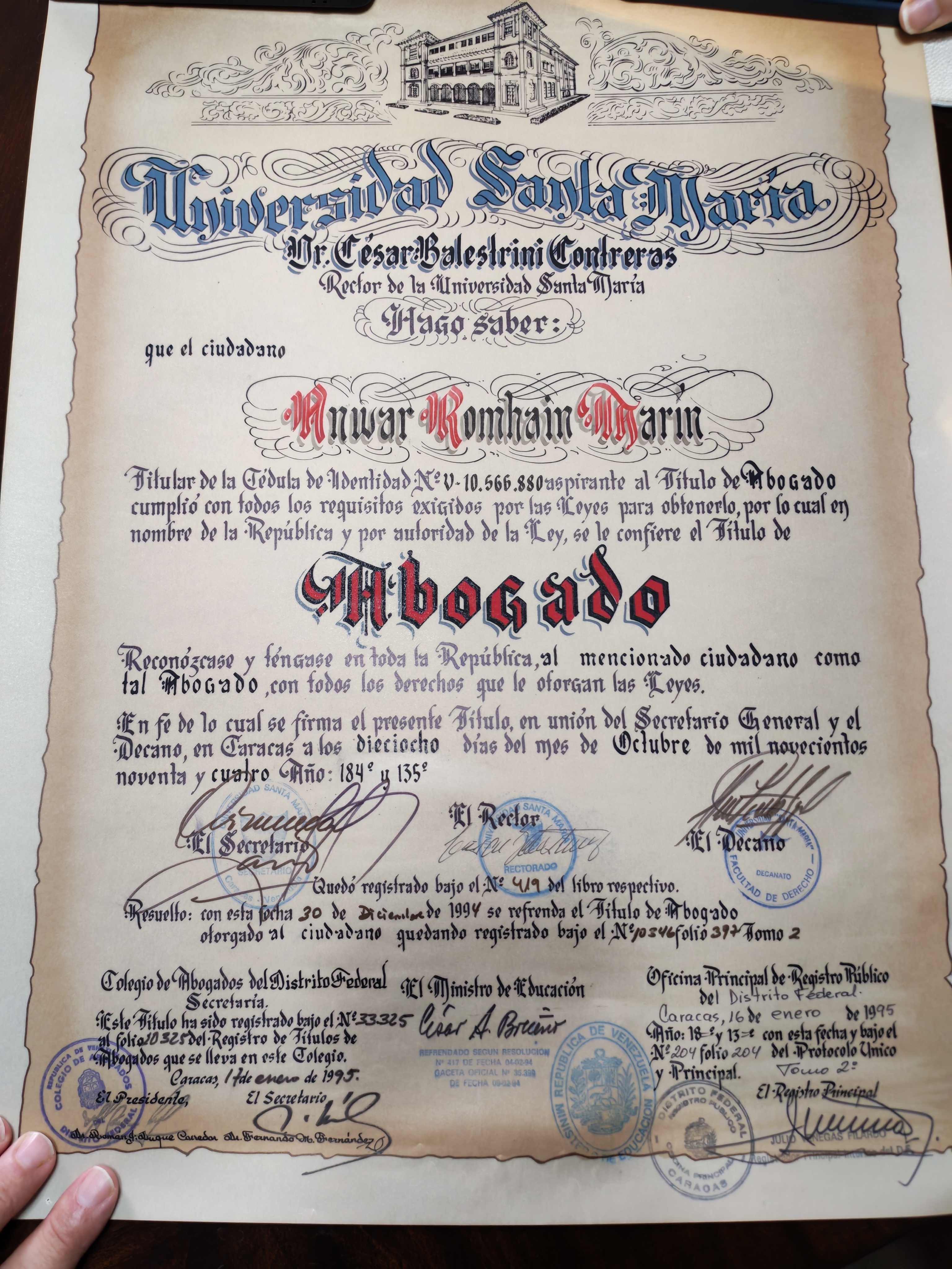 Anexe soportes de sintesis curricular