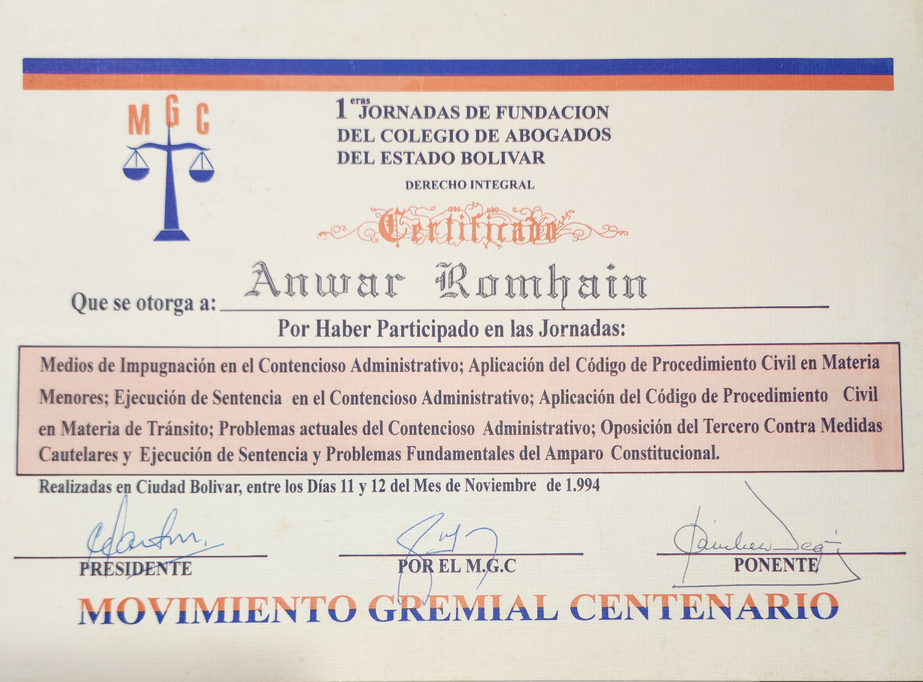 Anexe soportes de sintesis curricular