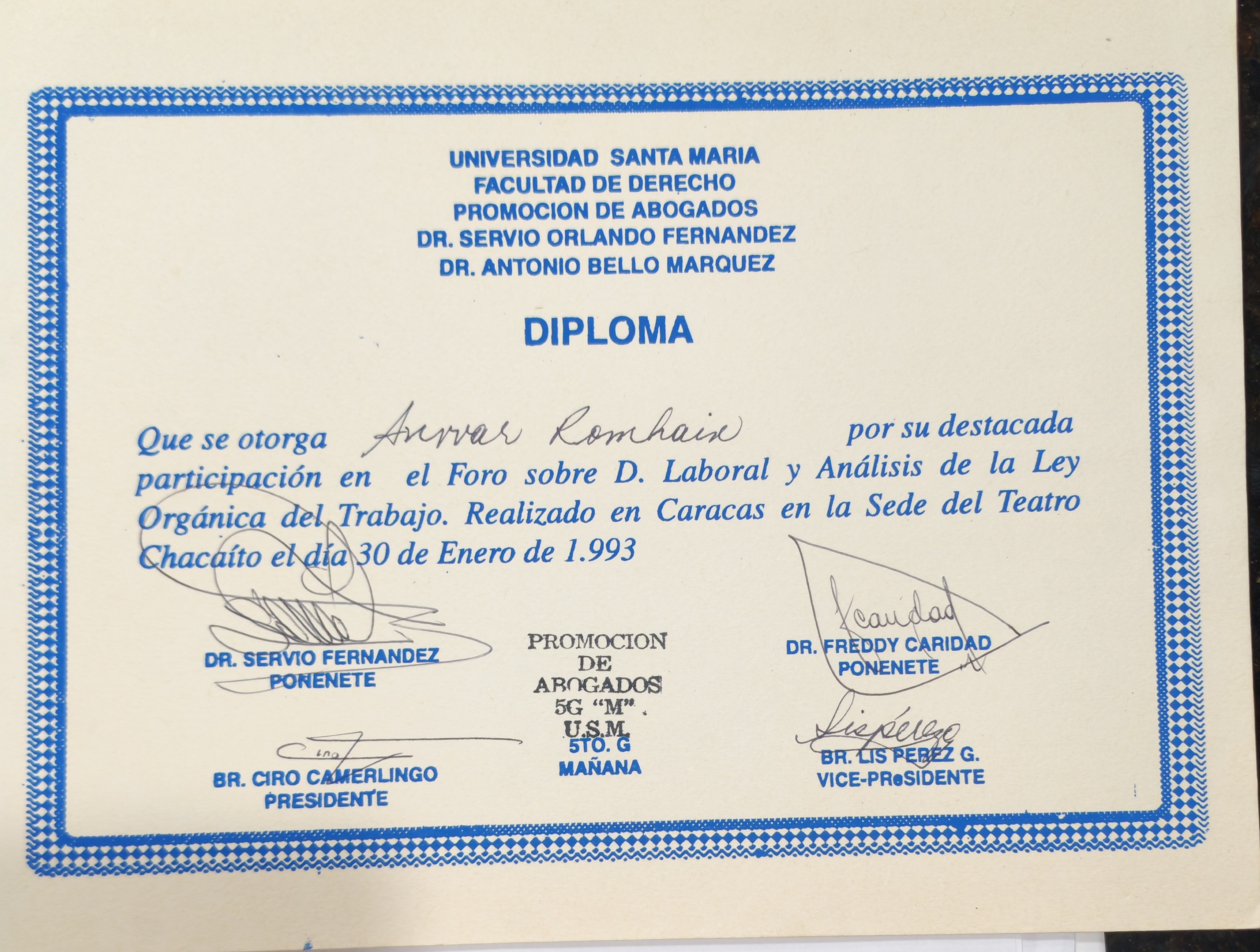 Anexe soportes de sintesis curricular