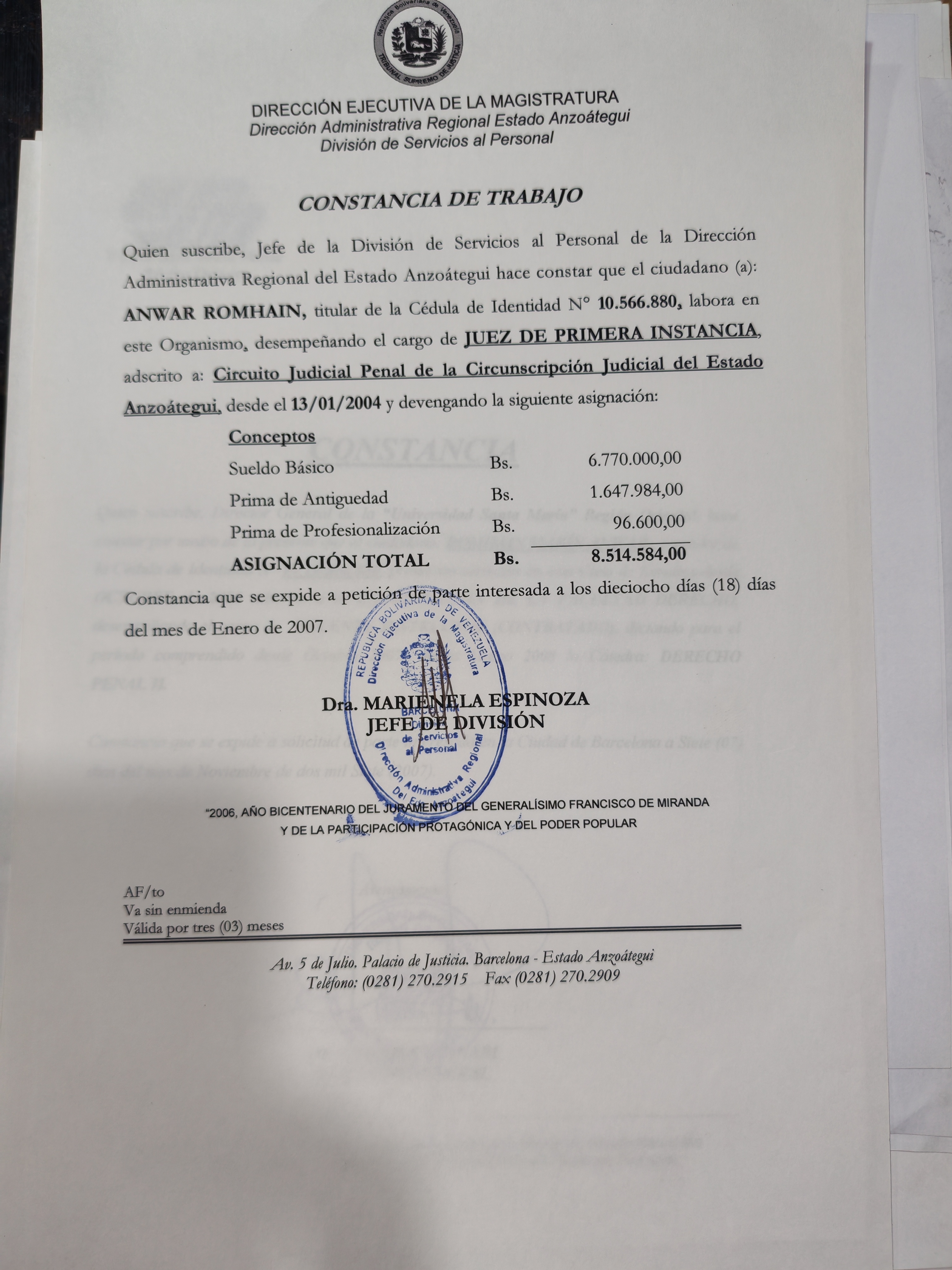 Anexe soportes de sintesis curricular