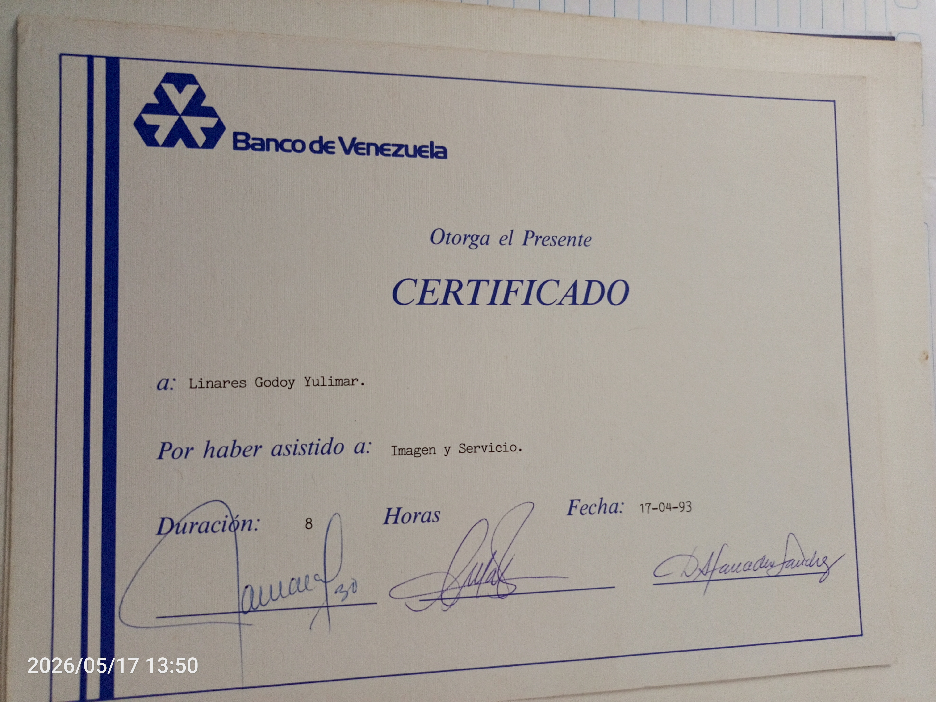 Anexe soportes de sintesis curricular