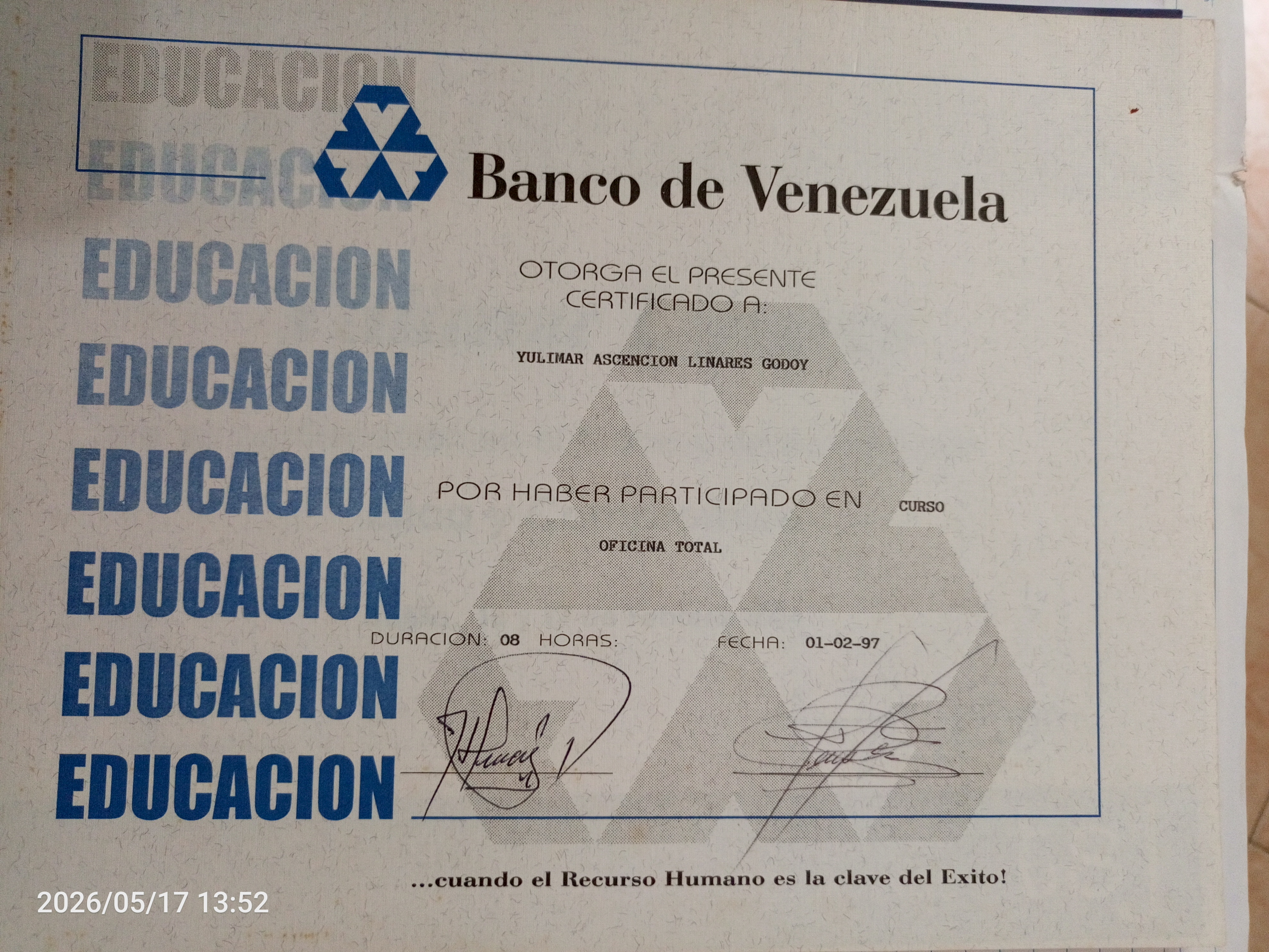 Anexe soportes de sintesis curricular
