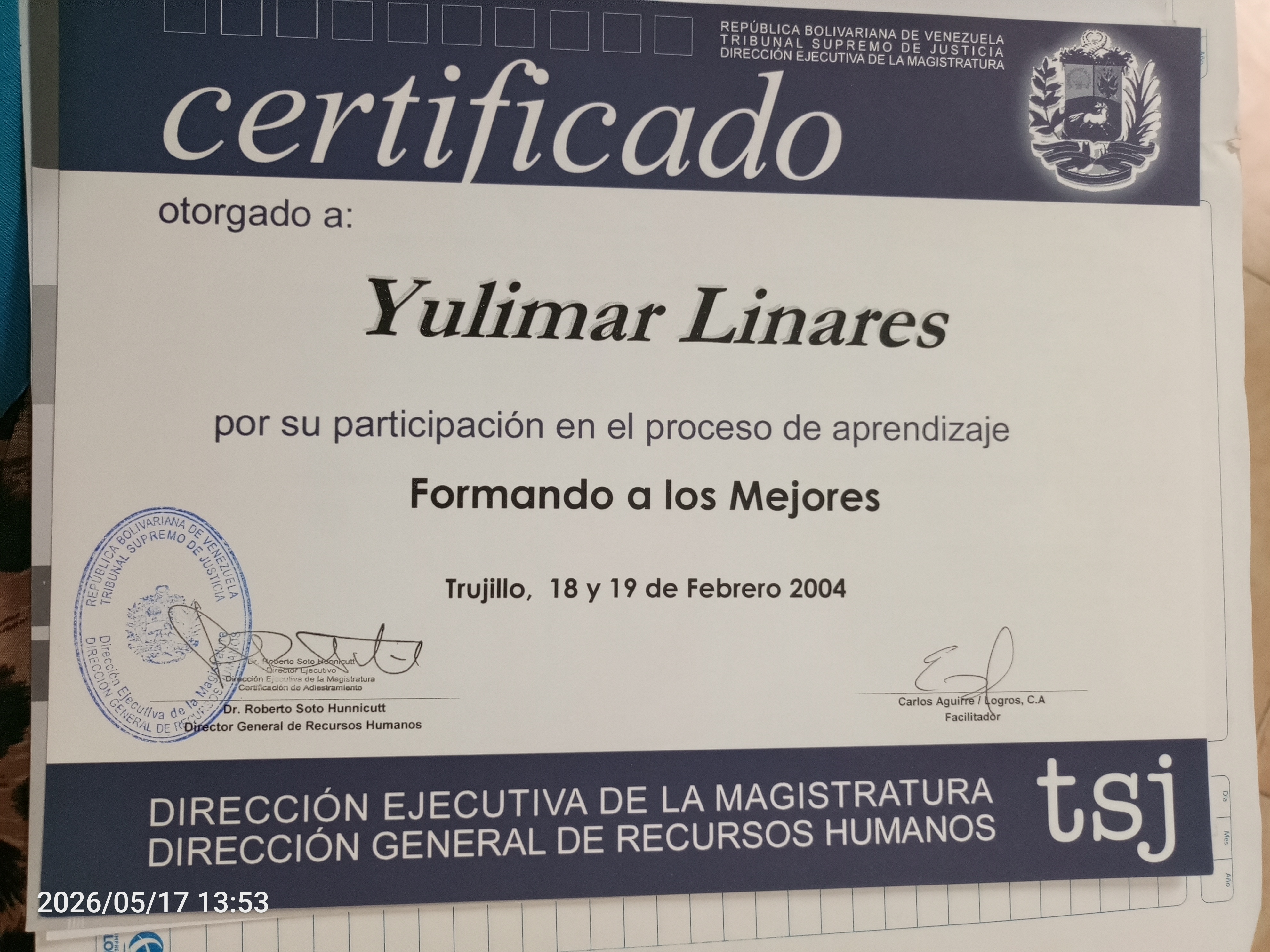 Anexe soportes de sintesis curricular