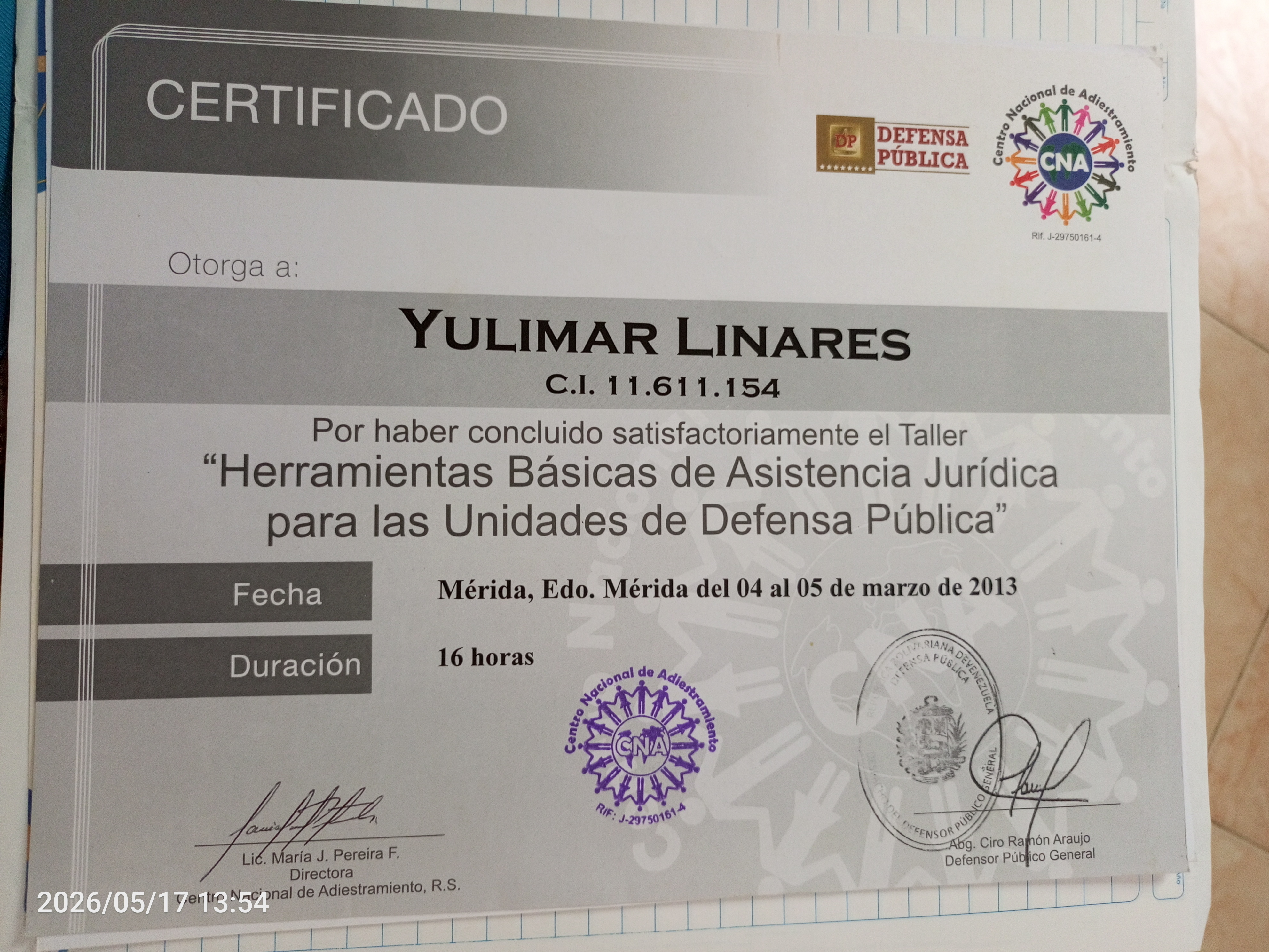 Anexe soportes de sintesis curricular