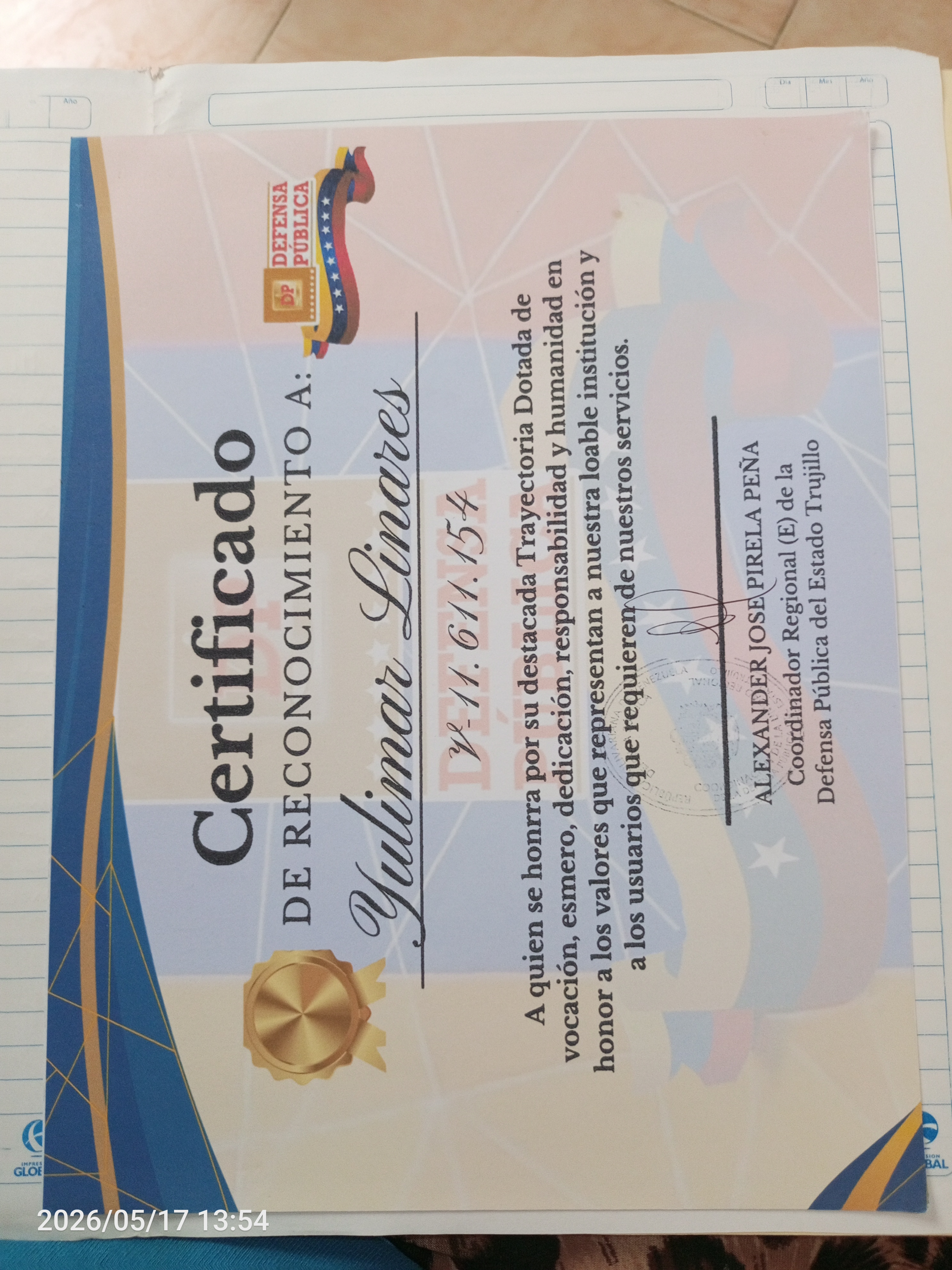 Anexe soportes de sintesis curricular