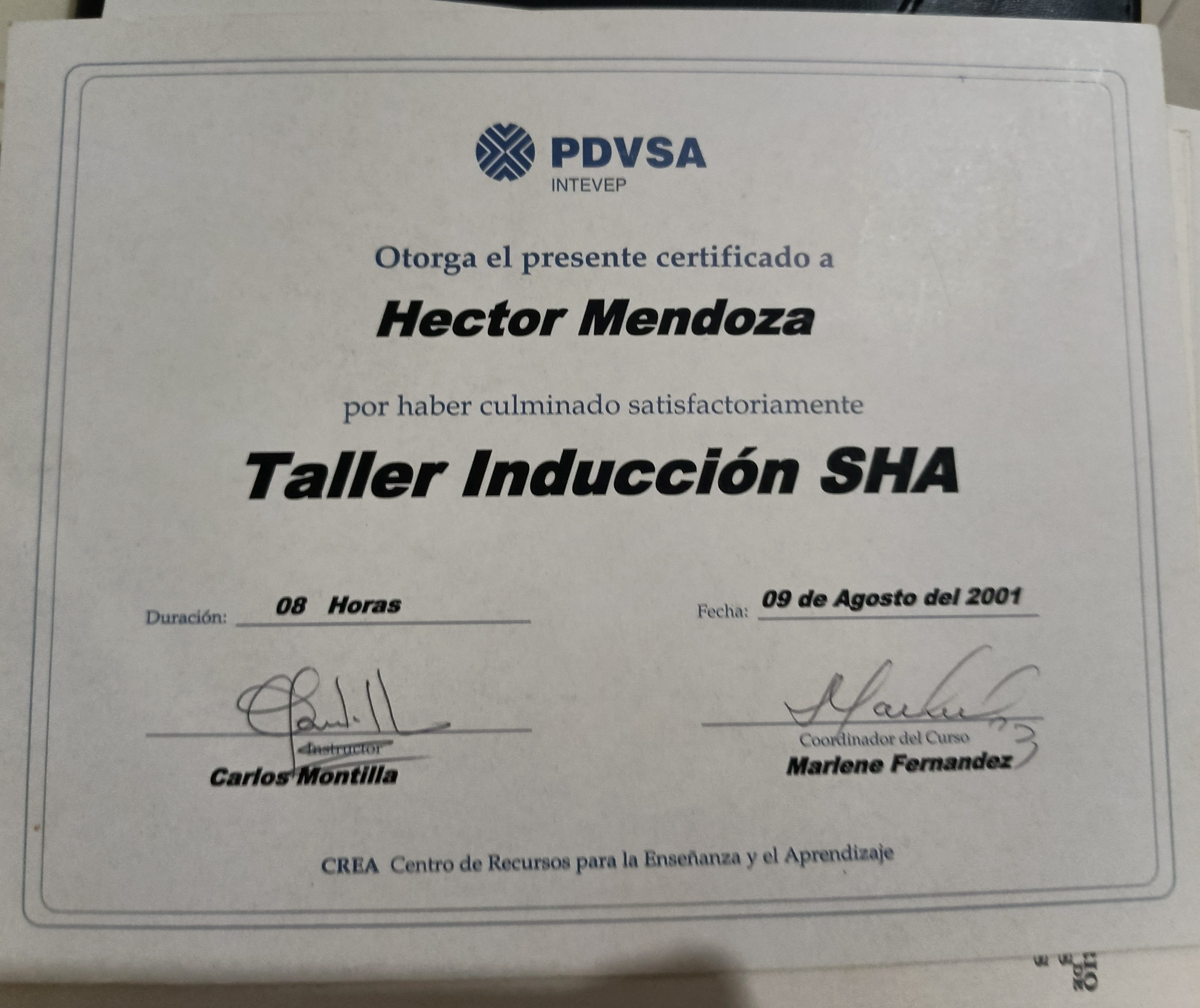 Anexe soportes de sintesis curricular