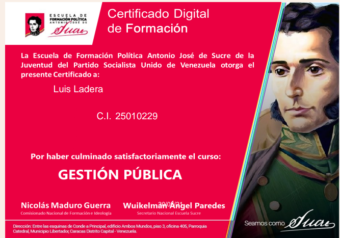 Anexe soportes de sintesis curricular