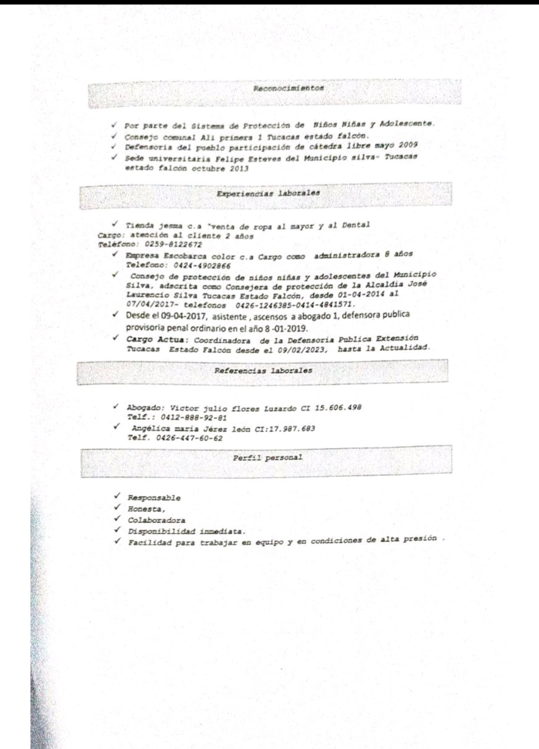 Anexe soportes de sintesis curricular