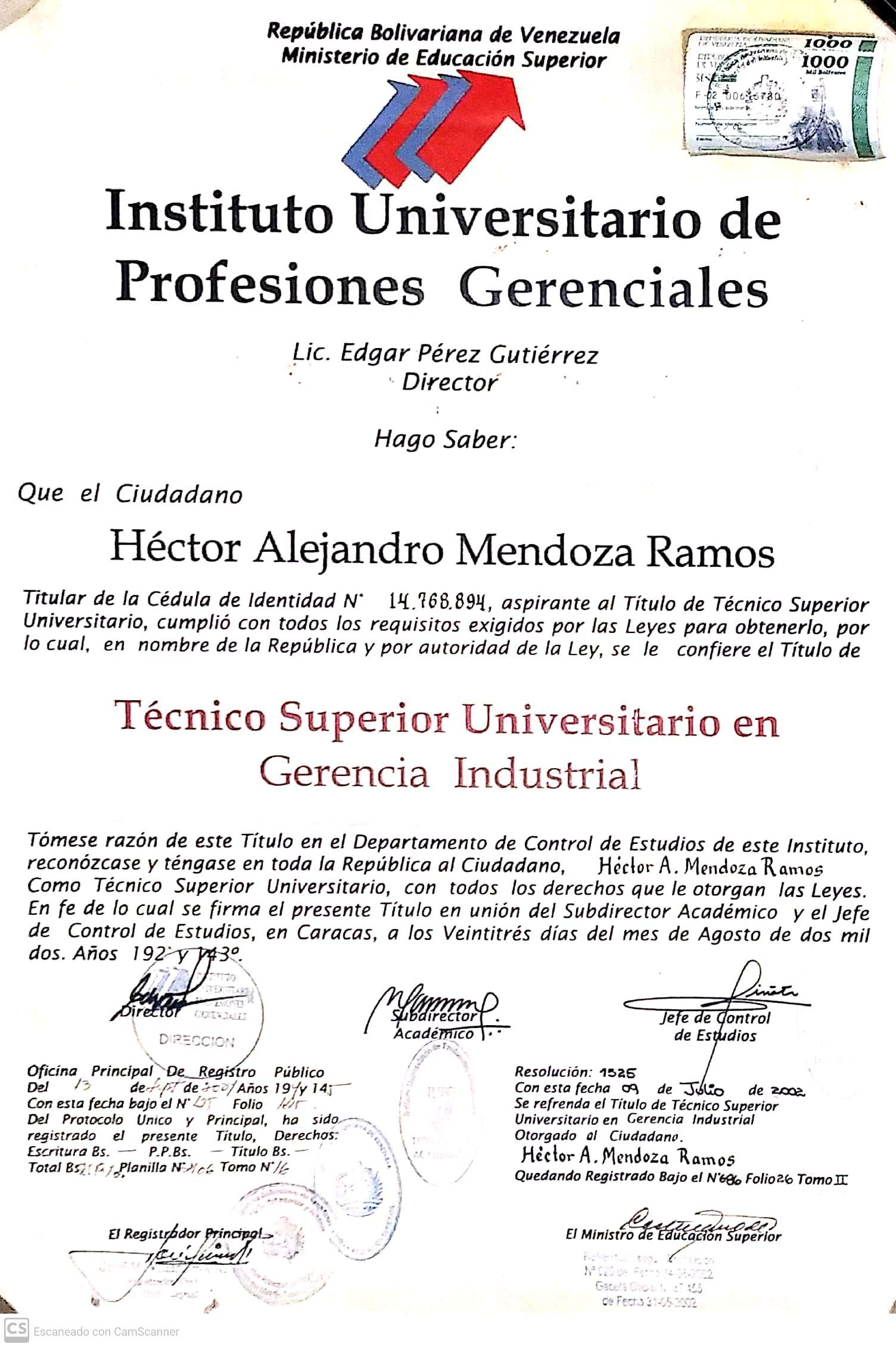 Anexe soportes de sintesis curricular