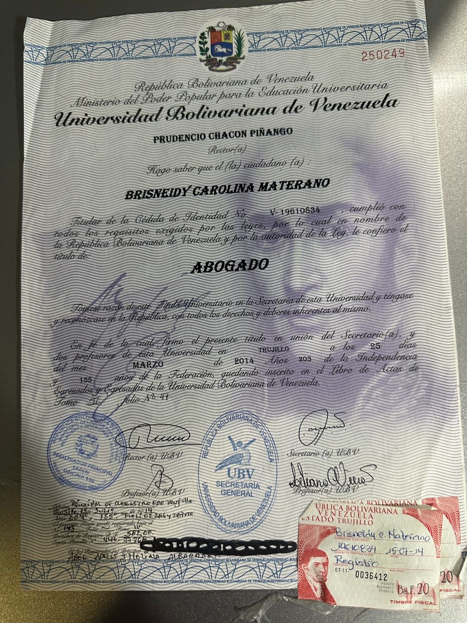 Anexe soportes de sintesis curricular