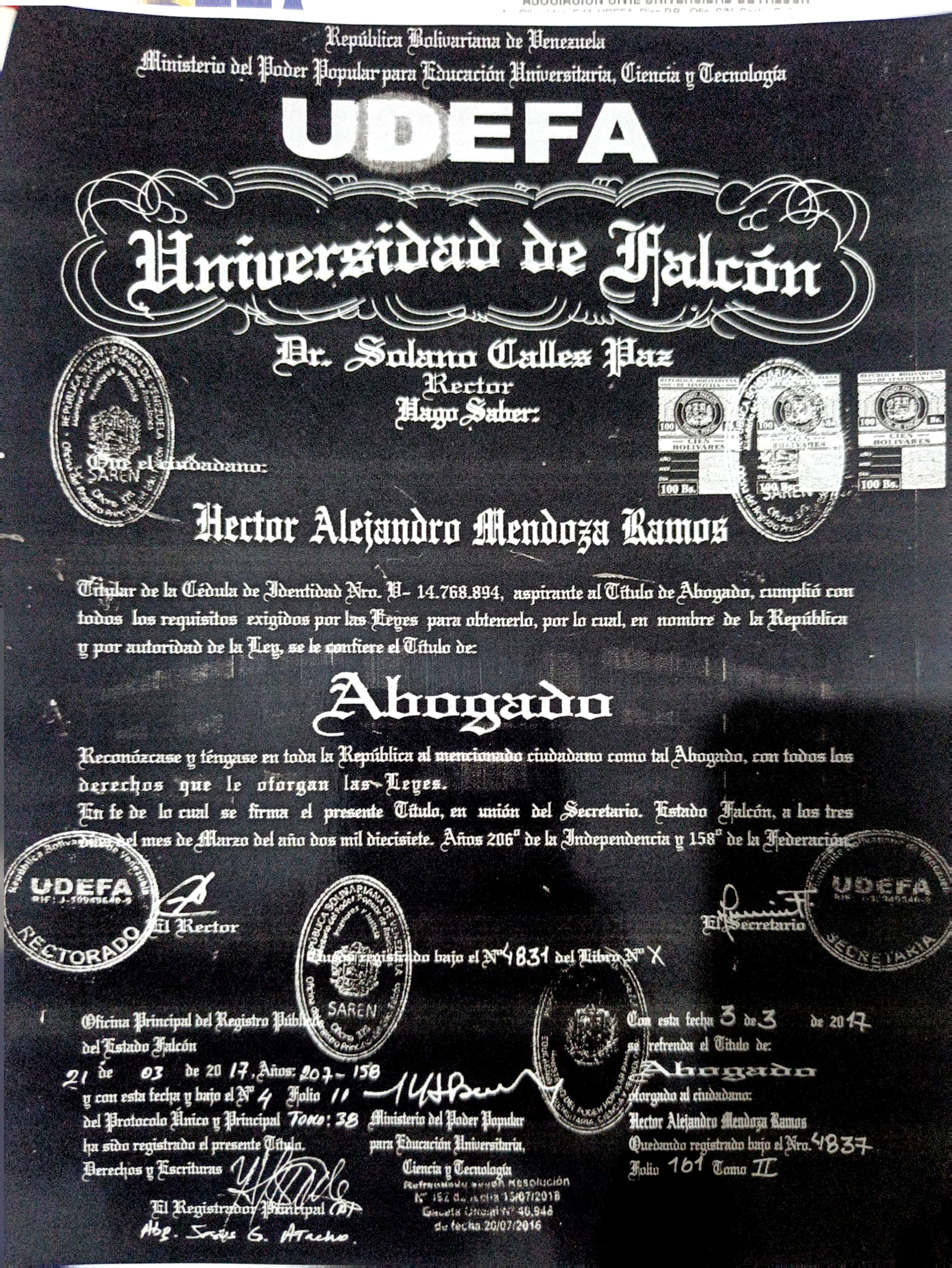 Anexe soportes de sintesis curricular