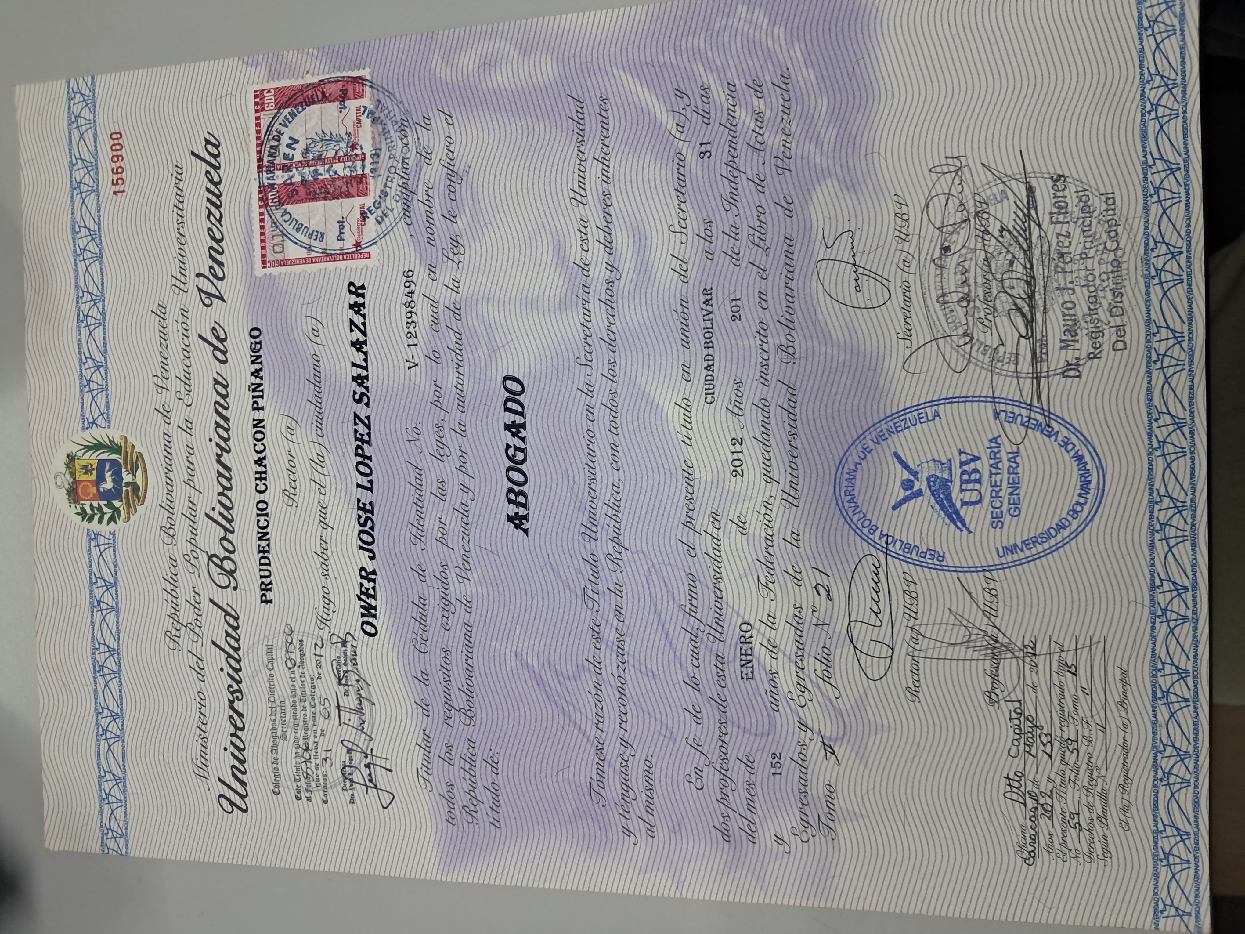 Anexe soportes de sintesis curricular