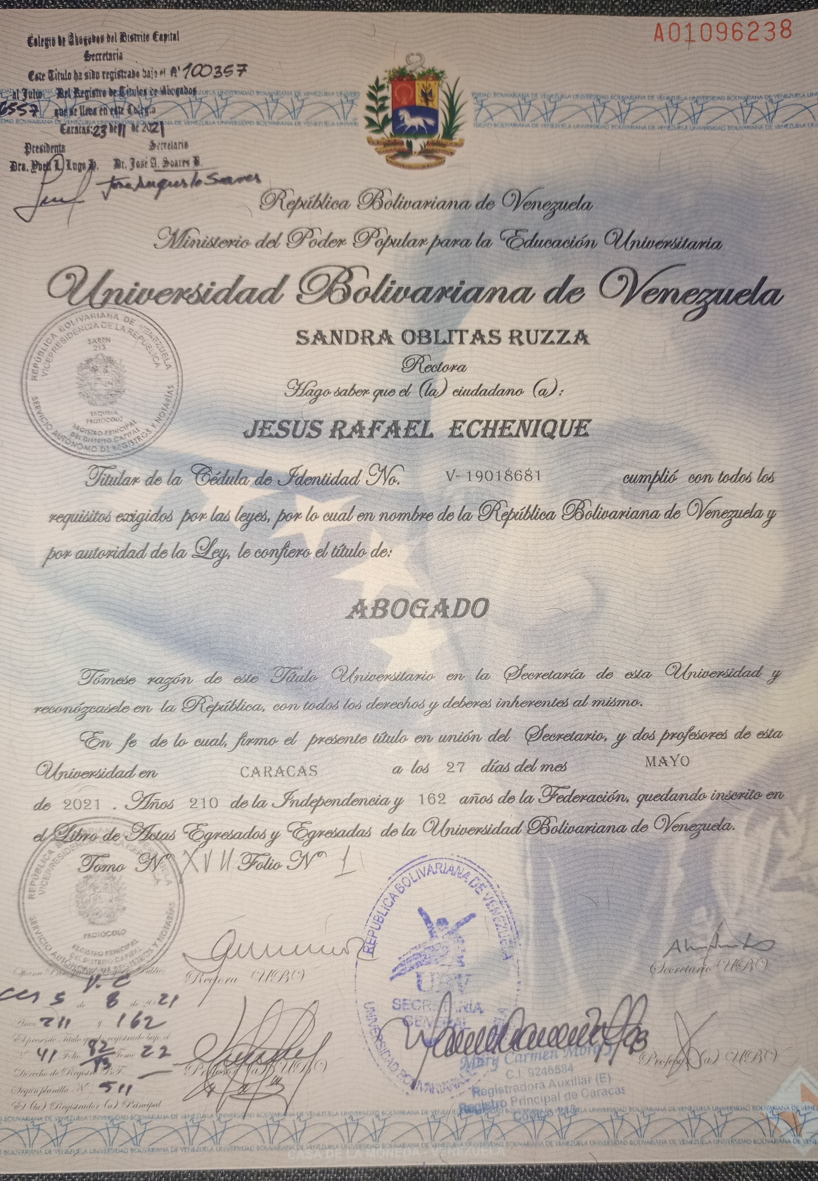 Anexe soportes de sintesis curricular