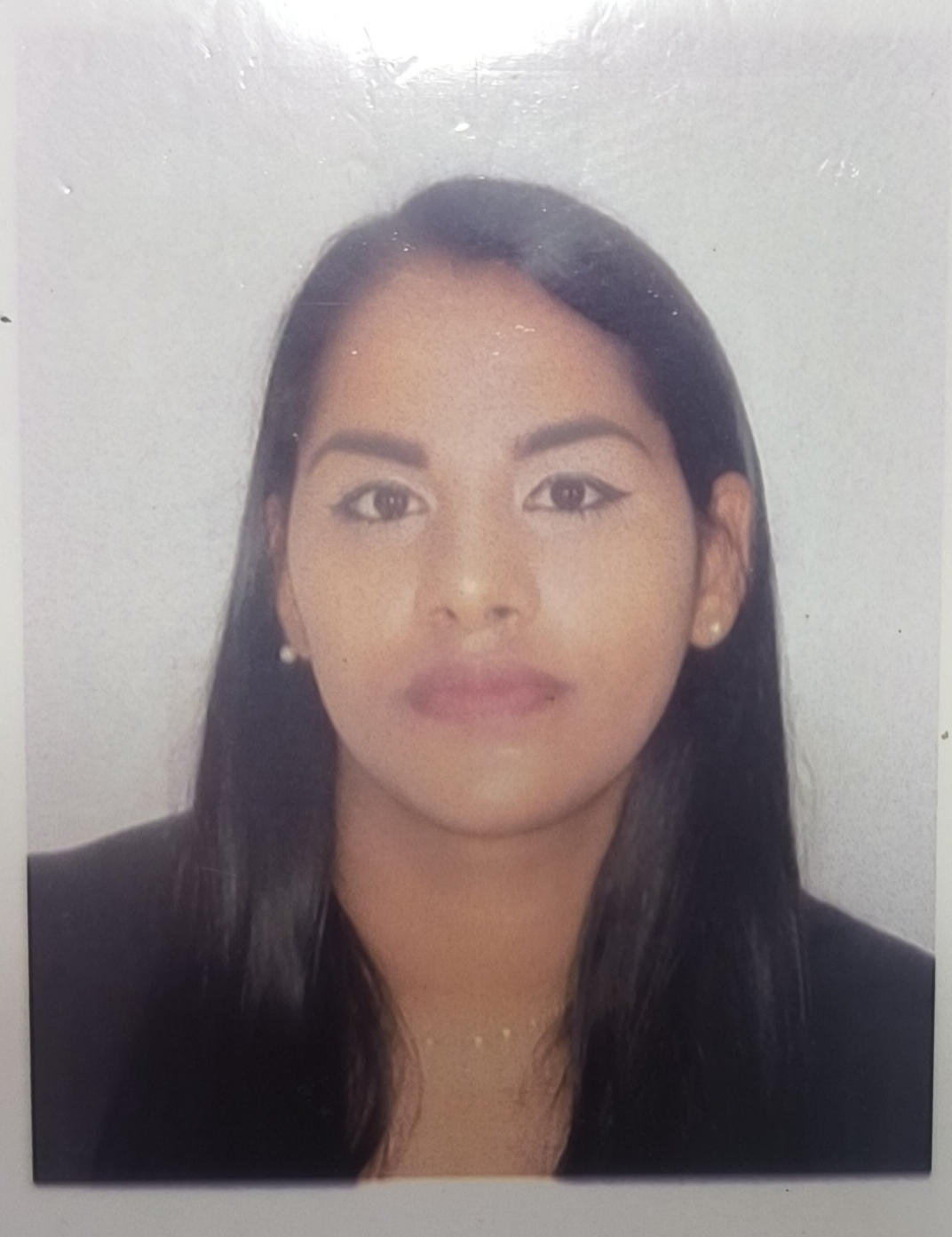 Anexe una foto carnet, copia de la cédula y soportes de sintesis curricular (el formato debe ser .pdf)