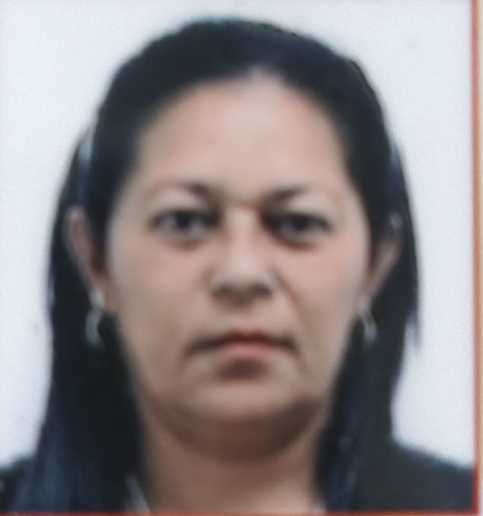 Anexe una foto carnet, copia de la cédula y soportes de sintesis curricular (el formato debe ser .pdf)