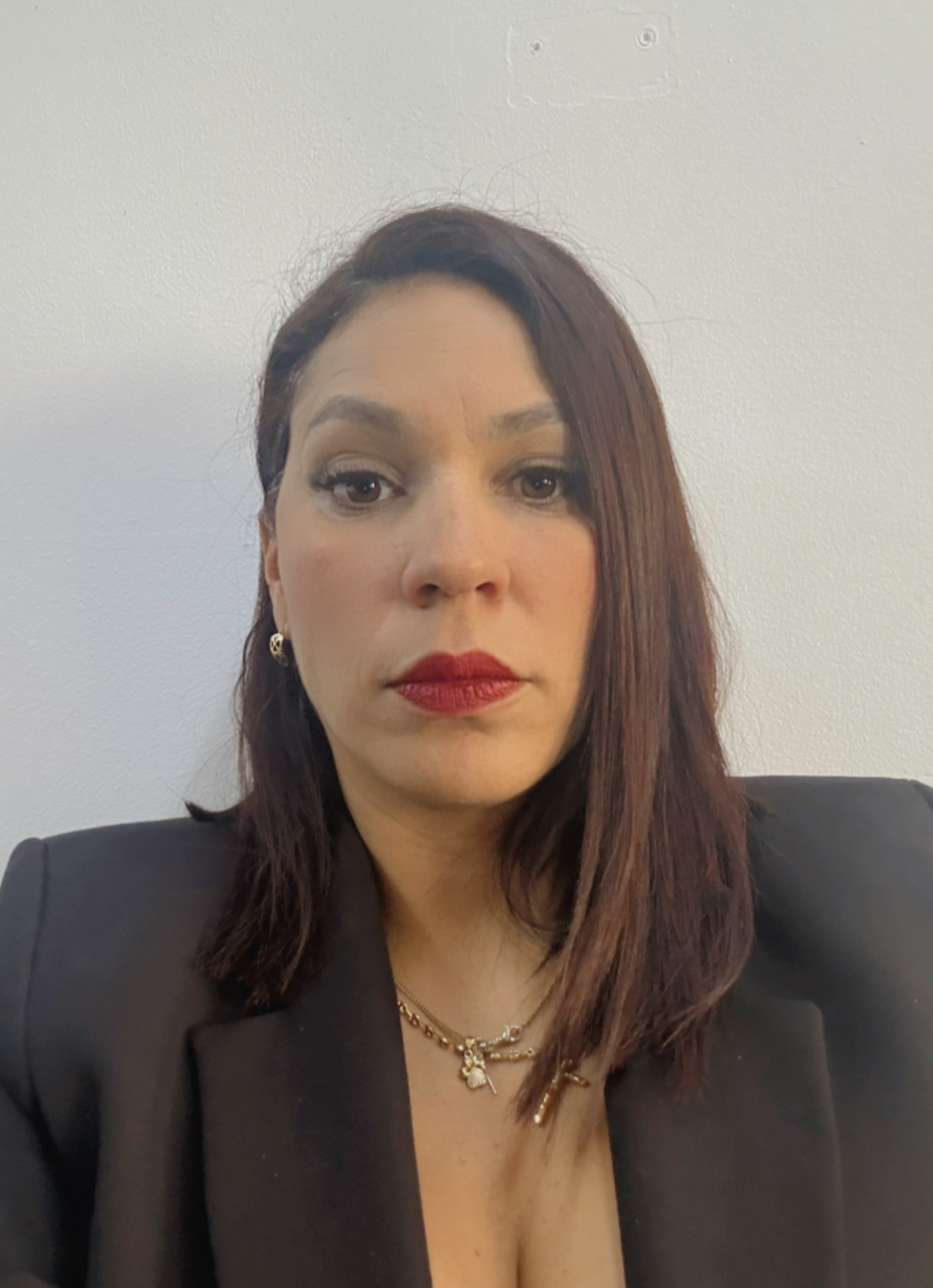 Anexe una foto carnet, copia de la cédula y soportes de sintesis curricular (el formato debe ser .pdf)