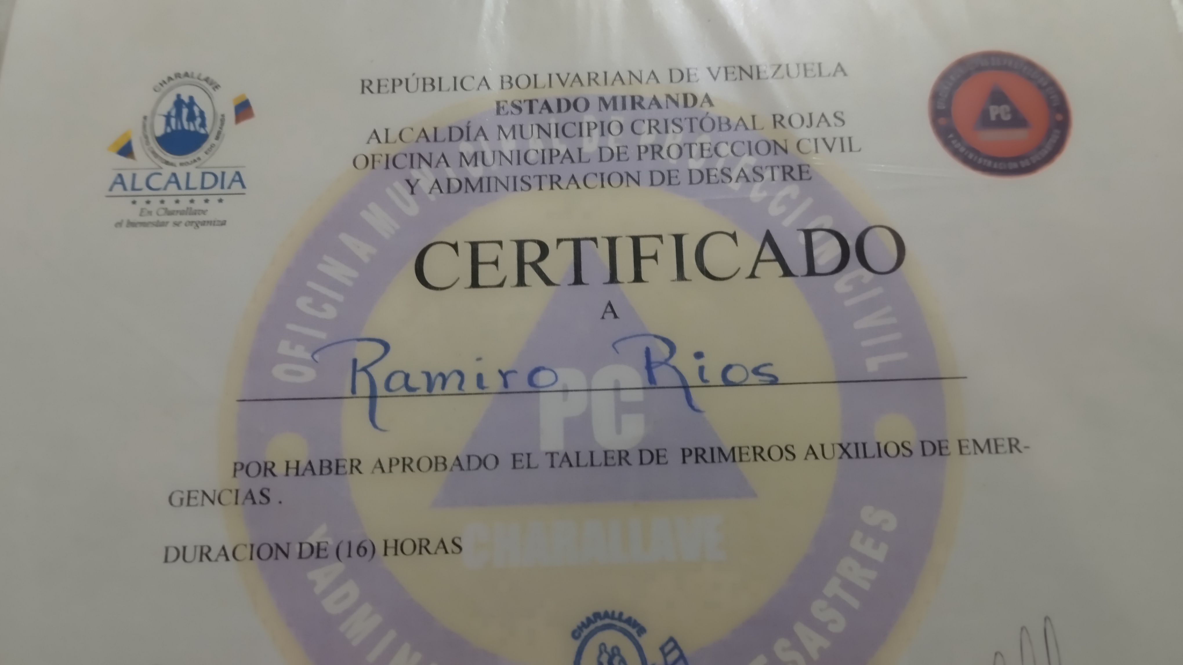 Anexe soportes de sintesis curricular