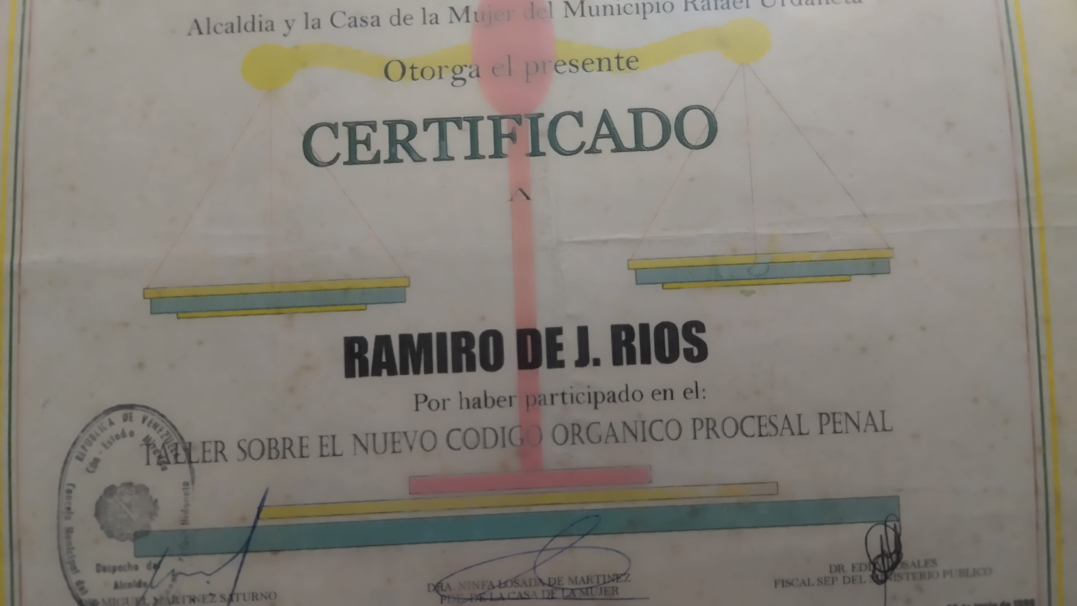 Anexe soportes de sintesis curricular