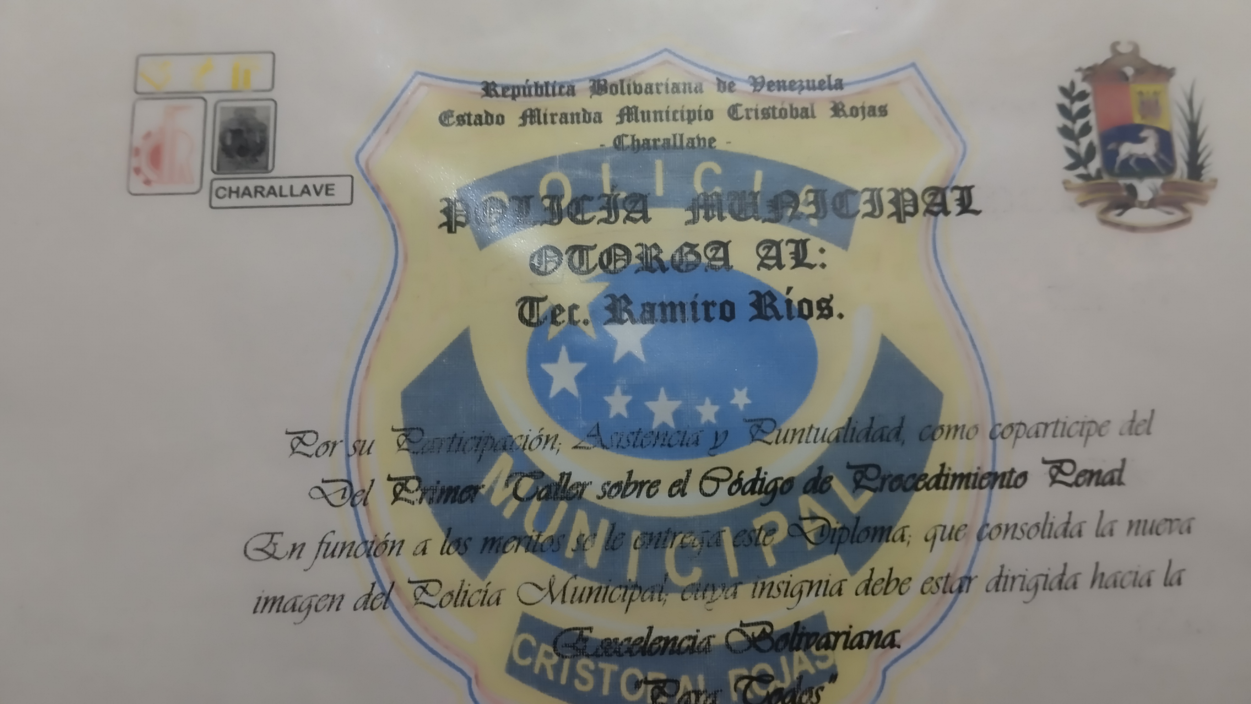 Anexe soportes de sintesis curricular