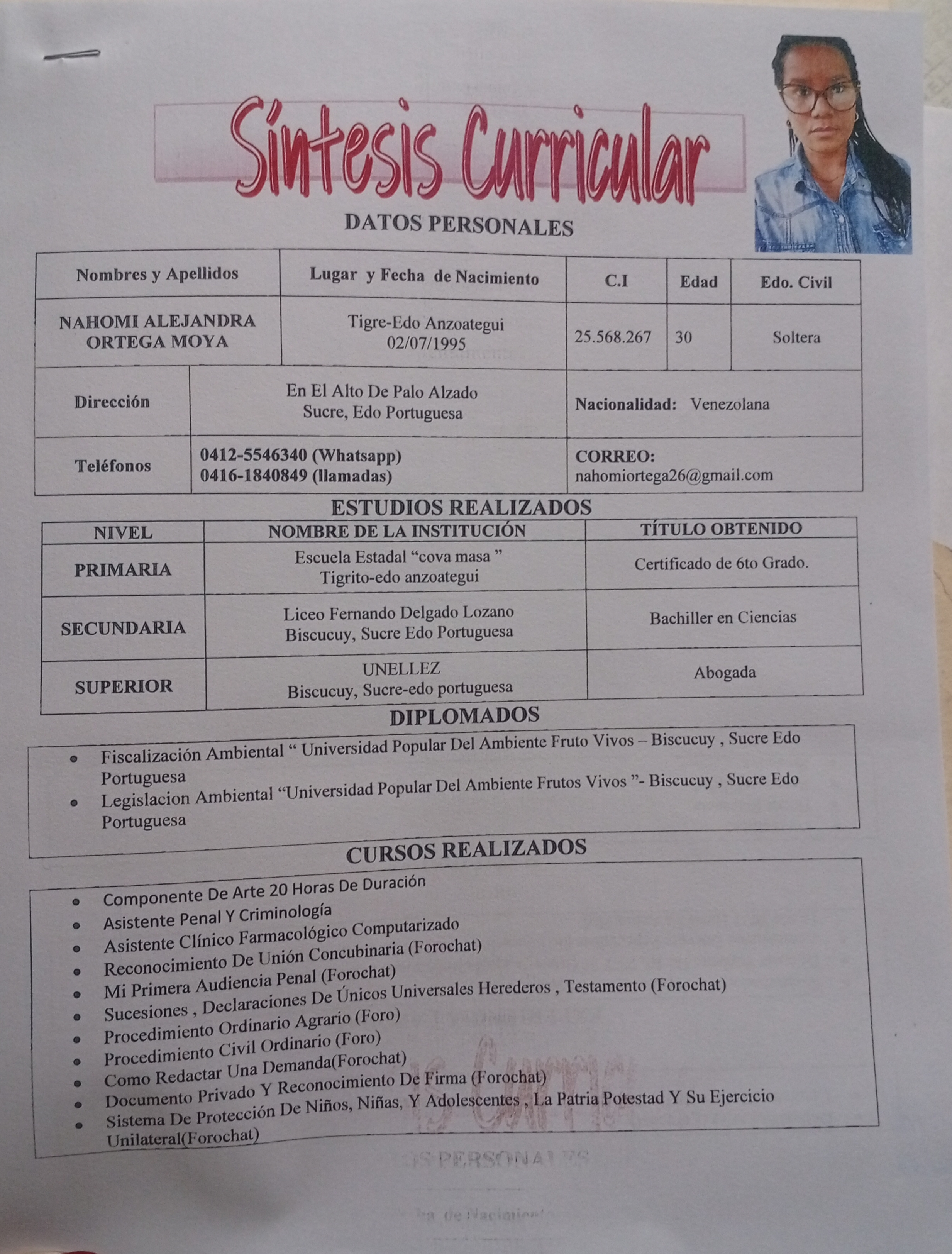 Anexe soportes de sintesis curricular