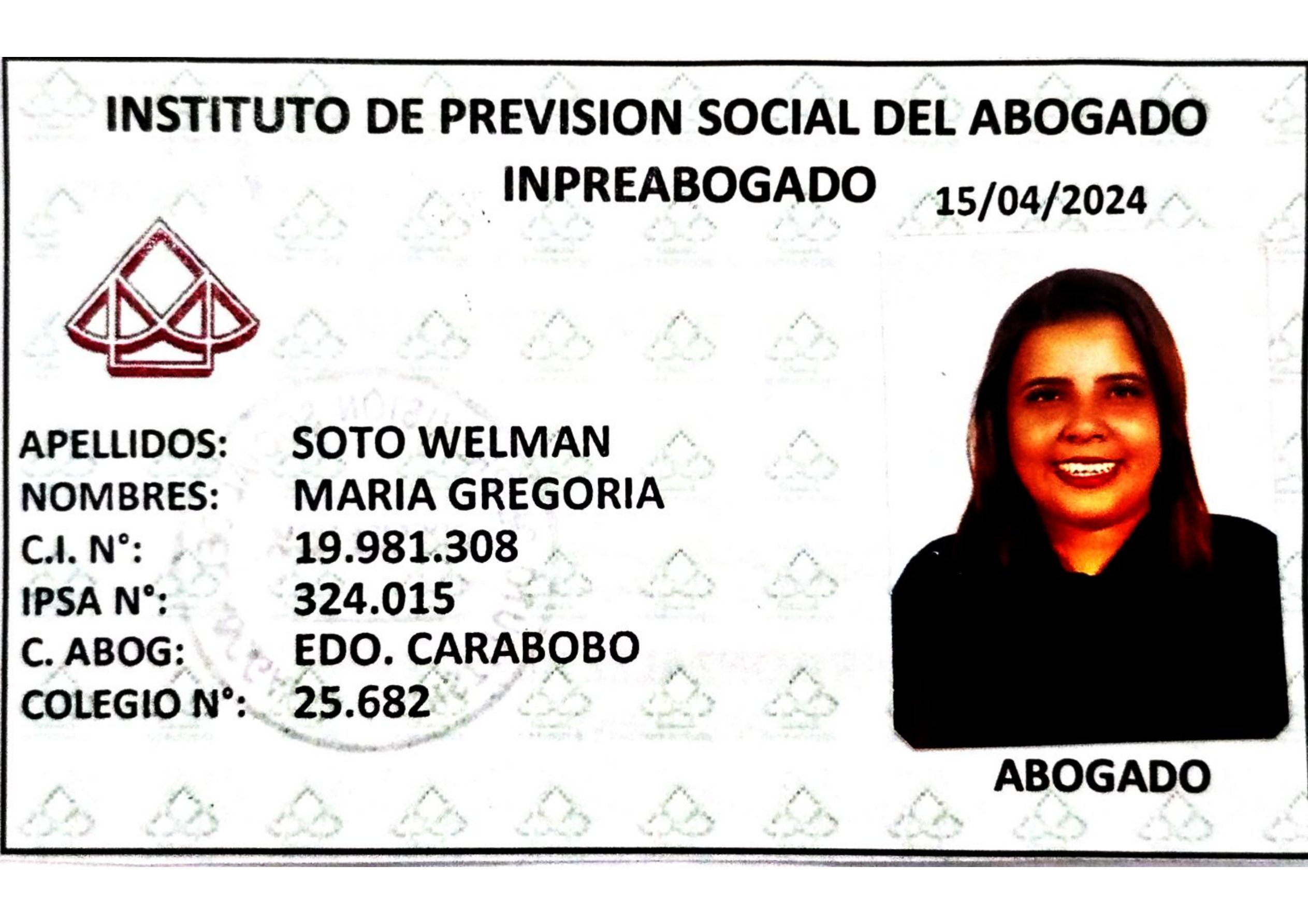 Anexe soportes de sintesis curricular
