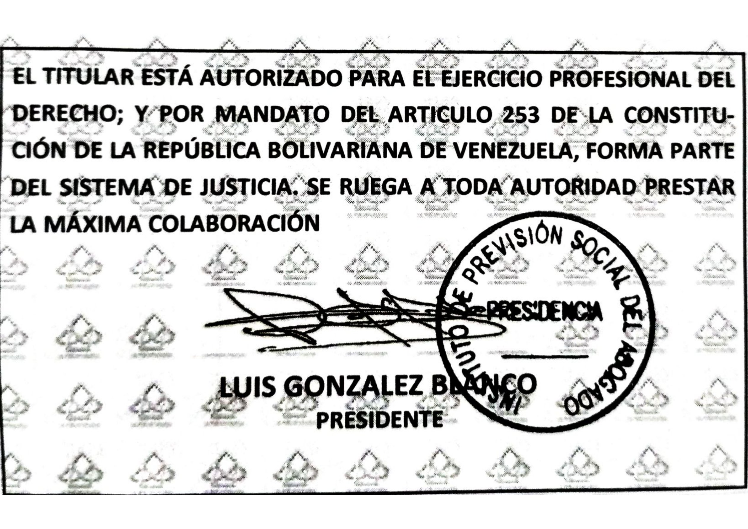 Anexe soportes de sintesis curricular