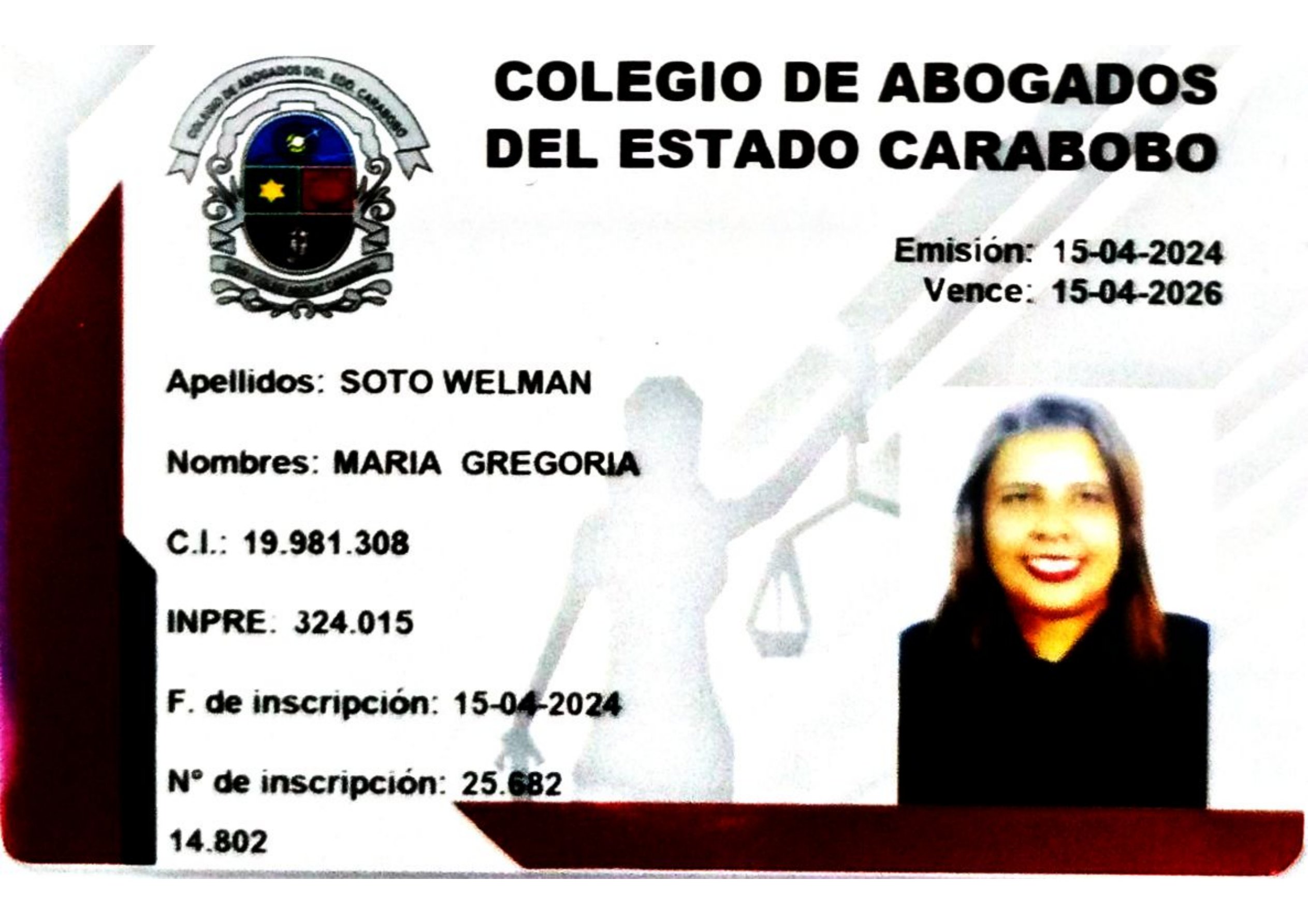 Anexe soportes de sintesis curricular