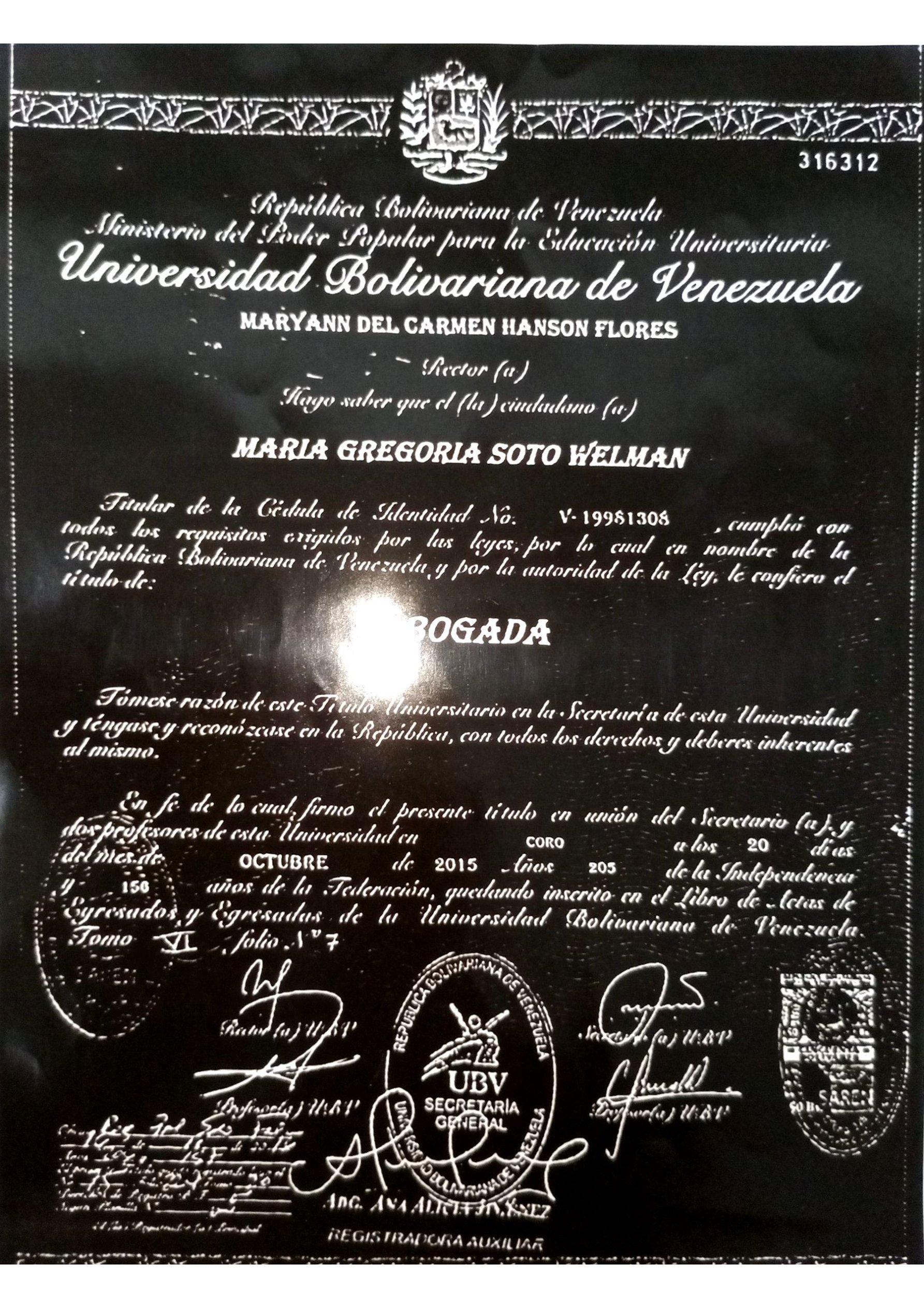 Anexe soportes de sintesis curricular
